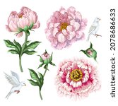 pink peonies and doves isolated.... | Shutterstock .eps vector #2078686633