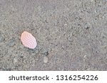 Pink used chewing gum spit out on the pavement, step on