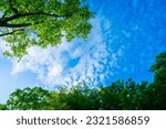 Small photo of clouds and blue sunny sky, white clouds over blue sky, Aerial view, nature blue sky white cleat weather.