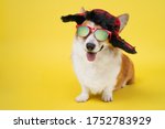 Small photo of Funny smiling welsh corgi pembroke or cardigan dog in warm winter hat with earflaps and sunglasses with polarizing lenses personifying russian style on yellow background, copy space for advertising