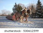 Clydesdale Horses Drawn Sleigh...