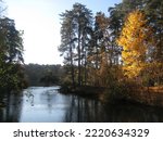 macro photo with a decorative natural background of an autumn day landscape in a European park with a lake and yellow tree branches on the shore for design as a source for prints, wallpapers, posters