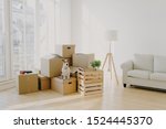Small photo of Moving Day concept. Cute domestic dog poses near cardboard boxes in spacious room with sofa, big window in background, waits for host, change place of living in new apartment, looks somewhere.