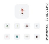 Set Of Insect Realistic Symbols ...