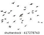flight of birds in the wild.... | Shutterstock . vector #617278763