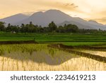 View of Indonesia in the morning, view of green rice fields and mountains at sunrise