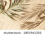 Blured Natural Palm Leaves...