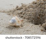 Small photo of White and brown stout spine murex with hole and pile of sand over beach background with theme concept of holiday, vacation, and relaxation