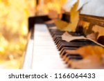 Blurred Background. The Piano...