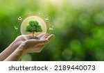 Small photo of Hand holding a green tree with icons of energy sources for renewable, sustainable development. ecology and world sustainable environment concept. Saving the environment, saving the clean planet.