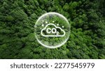 Small photo of Reduce CO2 emissions to limit climate change and global warming. Co2 text in bubbles with forest.carbon dioxide CO2 molecules. Low greenhouse gas levels, decarbonize, net zero carbon dioxide footprint