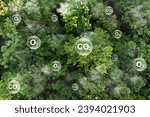 Small photo of Reduce CO2 emissions to limit climate change and global warming. Tree canopy against oxygen O2 and carbon dioxide CO2 molecules.net zero.Carbon dioxide absorption and oxygen release concept