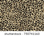 Leopard Pattern Design  Vector...