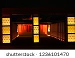 illuminaiton at tokyo | Shutterstock . vector #1236101470