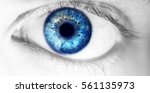 beautiful human eye, macro, close up  blue, yellow, brown, 