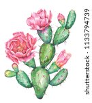 Watercolor Cactus. Raster...