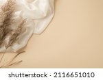 Top view photo of white light scarf and reed flowers on isolated beige background with copyspace
