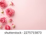 Women's Day concept. Top view photo of pink peony rose buds and sprinkles on isolated pastel pink background with copyspace