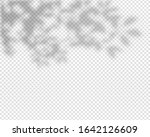 shadow overlay effect. natural... | Shutterstock .eps vector #1642126609