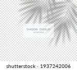 shadow overlay effect. natural... | Shutterstock .eps vector #1937242006