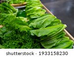 Small photo of Cos Lettuce or Romaine vegetable on tray to sell at the organic freshness marget wtih raw concrete floor background.