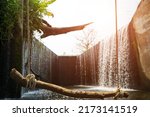 Small photo of Log wood swing with rope and place is the flowing water like a small waterfall curtain. Water overflowing the mortar weir during the rainy seasonand sunlight at Pang Sawan Weir, Uthai Thani, Thailand.