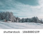 A stunning alpine s now scene. An alpine chalet is covered in snow after a fresh snow fall and set in a snowy forest in this beautiful winter setting.