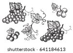 Set Of Grapes Monochrome Sketch....