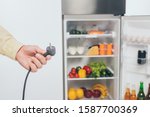 Small photo of cropped view of man holding unplugged power cord of fridge isolated on white