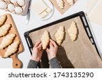cropped view of woman putting croissants on baking tray on white background