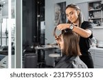 Small photo of beauty profession, hairdo, hairdresser with braids brushing short brunette hair of woman, haircut, professional, beauty salon work, haircut, hairdressing cape, salon beauty tools