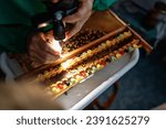Small photo of A beekeeper selects bee larvae to grow queen bees in plastic queen cells.Larva of bee, selected for growing queen bee. Tool for picking larvae from honeycombs on a frame. Honeybee Queen Grafting