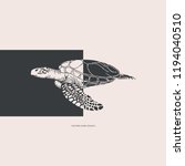 Vector Illustration.sea Turtle...