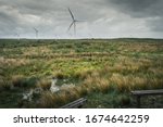 Small photo of Whitelee Wind Farm is a windfarm on the Eaglesham moor in Scotland, with 215 Siemens and Alstom wind turbines and a total capacity of 539 megawatts (MW). Renewable energy.