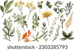 Small photo of This is a beautiful hand-drawn watercolor set of herbs, wildflowers, and spices that captures the delicate and intricate details of each plant. The watercolor medium gives each image a soft and natura