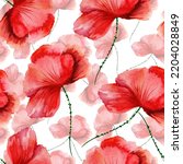  Watercolor Poppy Flowers In A...