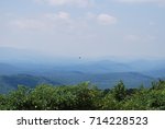 Hawk over Ouachita Mountains, Arkansas