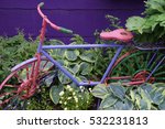 Antique bicyle in a garden, Baie-Saint-Paul, Quebec, Canada