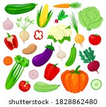 vegetables vector illustration... | Shutterstock .eps vector #1828862480