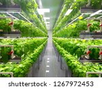 Plant vertical farms producing...