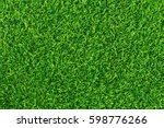 Green grass background texture ....