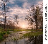 Small photo of Small pond with grass and tress at sunset. Spring sunset czech landscape