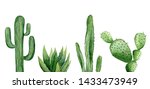 Green Cactus Set. Saguaro...