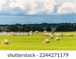 Small photo of Hay roll bales on countryside field farm in Alachua in Florida, USA rural area with farmland meadow white picket fence background and stormy sunset sky clouds