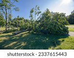 Small photo of Milan, Italy - July 25, 2023: Street view of Milano, fallen trees and damages are visible after a violent storm on the city.