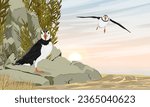 Atlantic puffins on a rocky ocean shore. Scandinavian bird Fratercula arctica or common puffin. Realistic vector landscape
