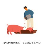 Farmer  Rancher Man Feeding Pig ...