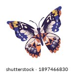 Tropical Elegant Butterfly With ...