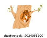 Cute Squirrel In Tree Hole ...