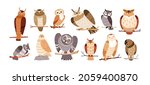 Cute Owl Birds Set. Funny...